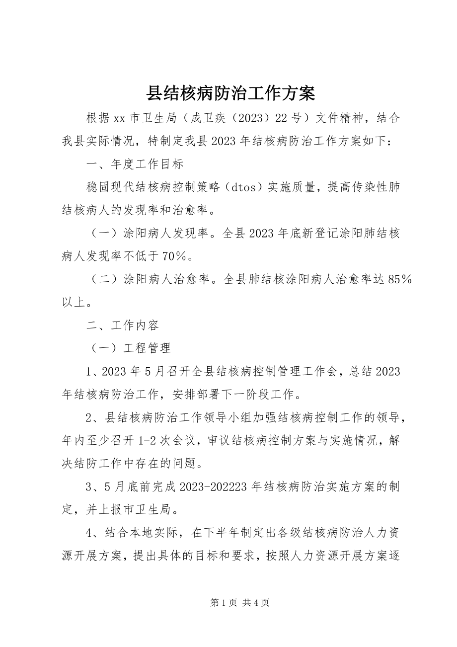 2023年县结核病防治工作计划.docx_第1页