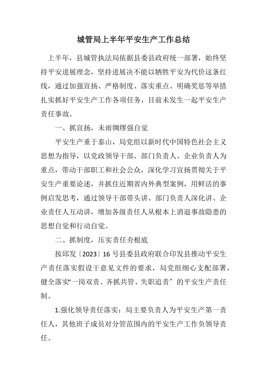 2023年城管局上半年安全生产工作总结.docx_第1页