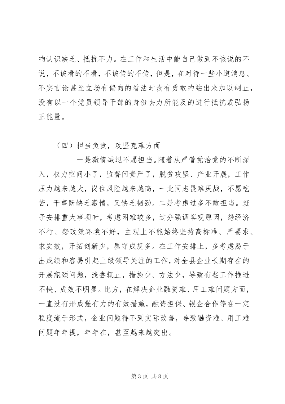 2023年领导班子对照检查材料.docx_第3页