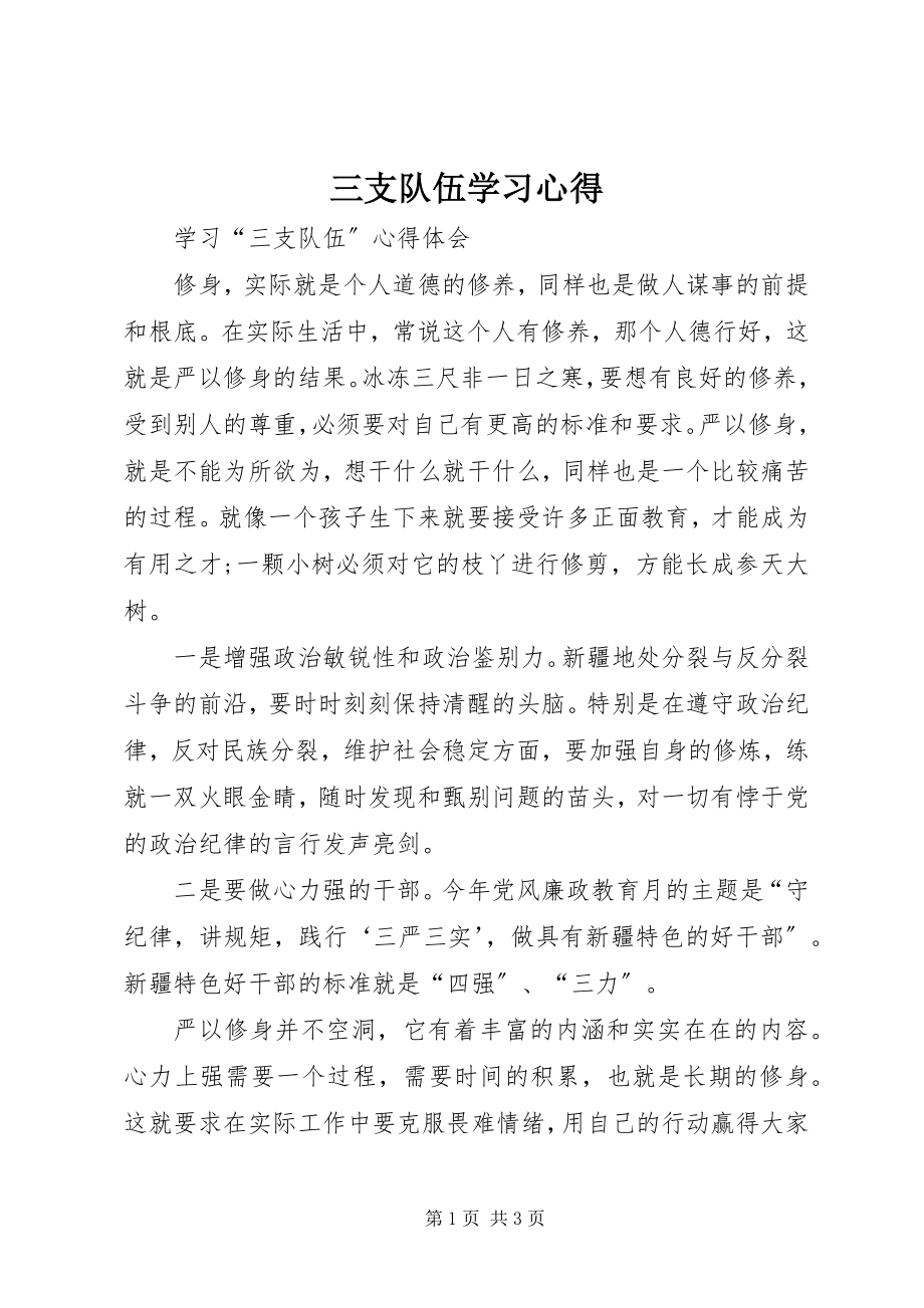 2023年三支队伍学习心得.docx_第1页