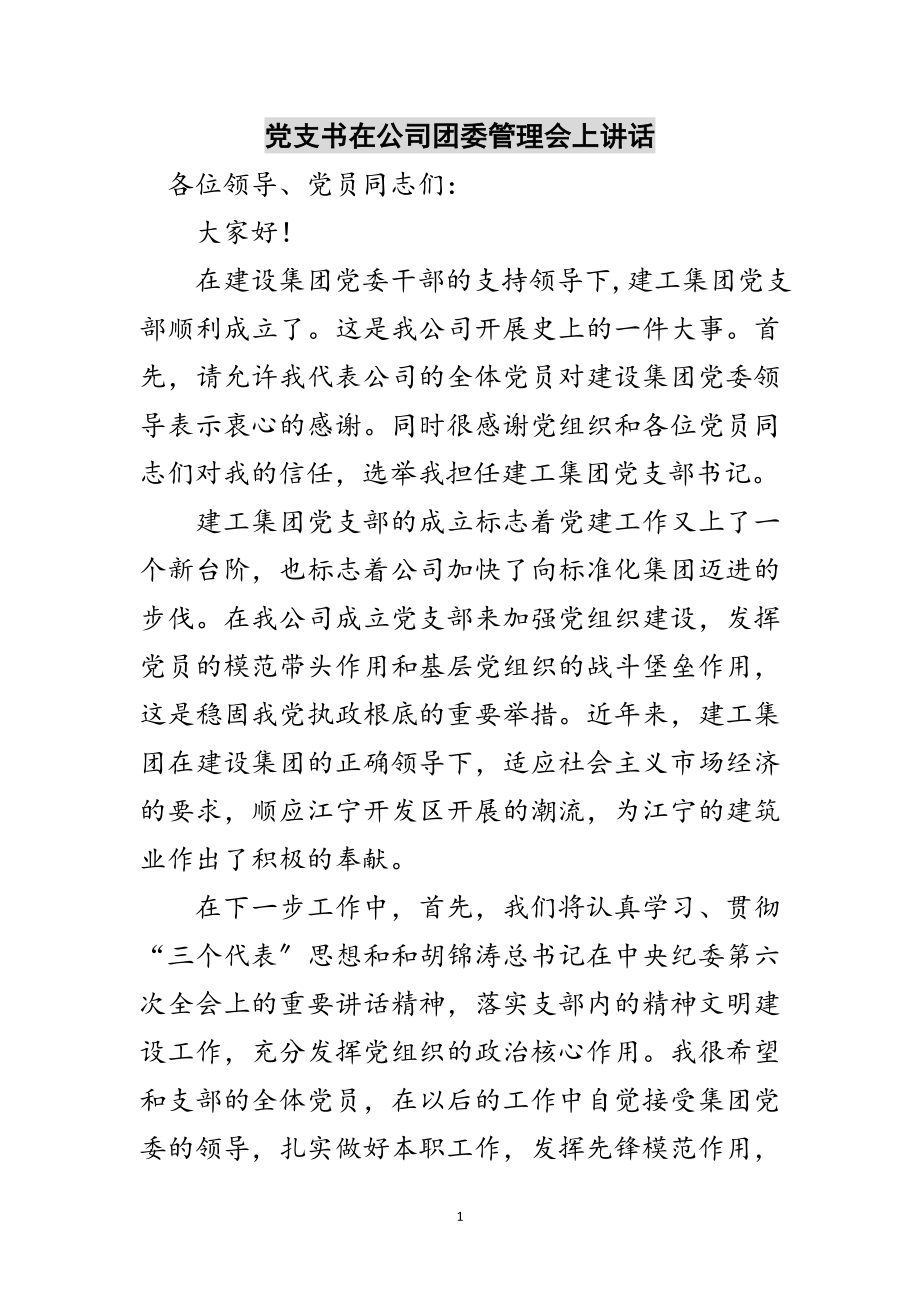 2023年党支书在公司团委管理会上讲话范文.doc_第1页