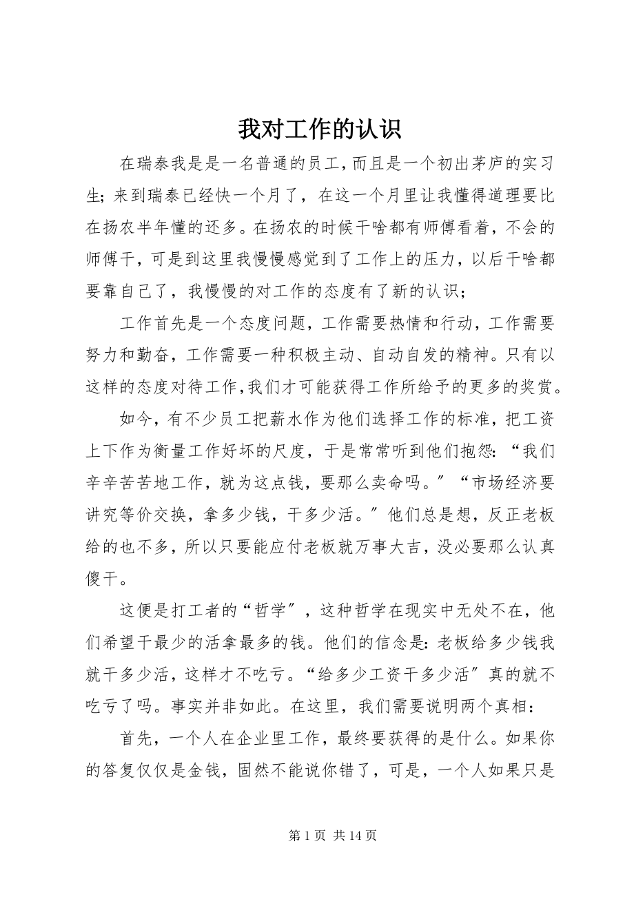 2023年我对工作的认识.docx_第1页