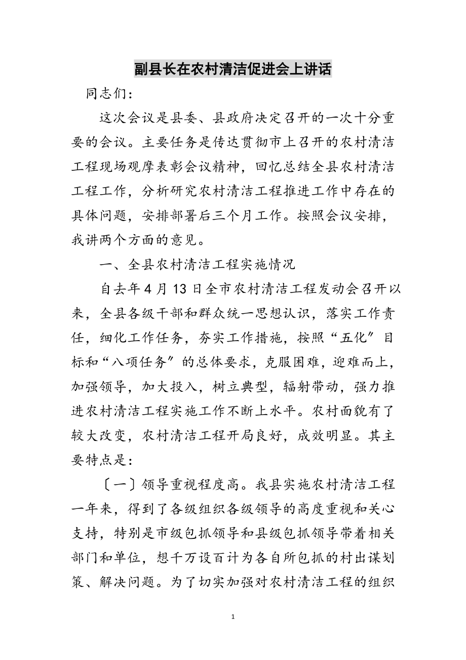 2023年副县长在农村清洁促进会上讲话范文.doc_第1页