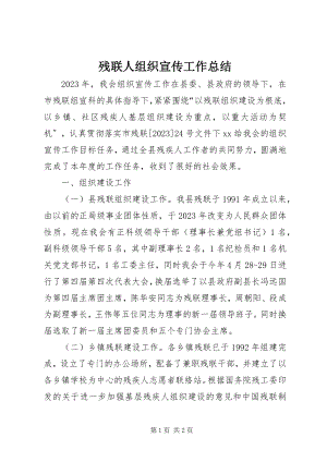 2023年残联人组织宣传工作总结新编.docx