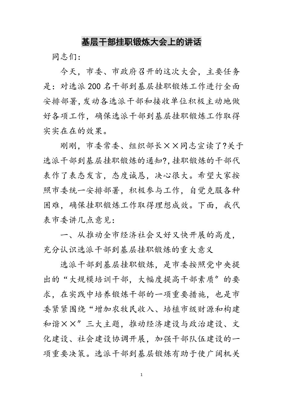 2023年基层干部挂职锻炼大会上的讲话范文.doc_第1页