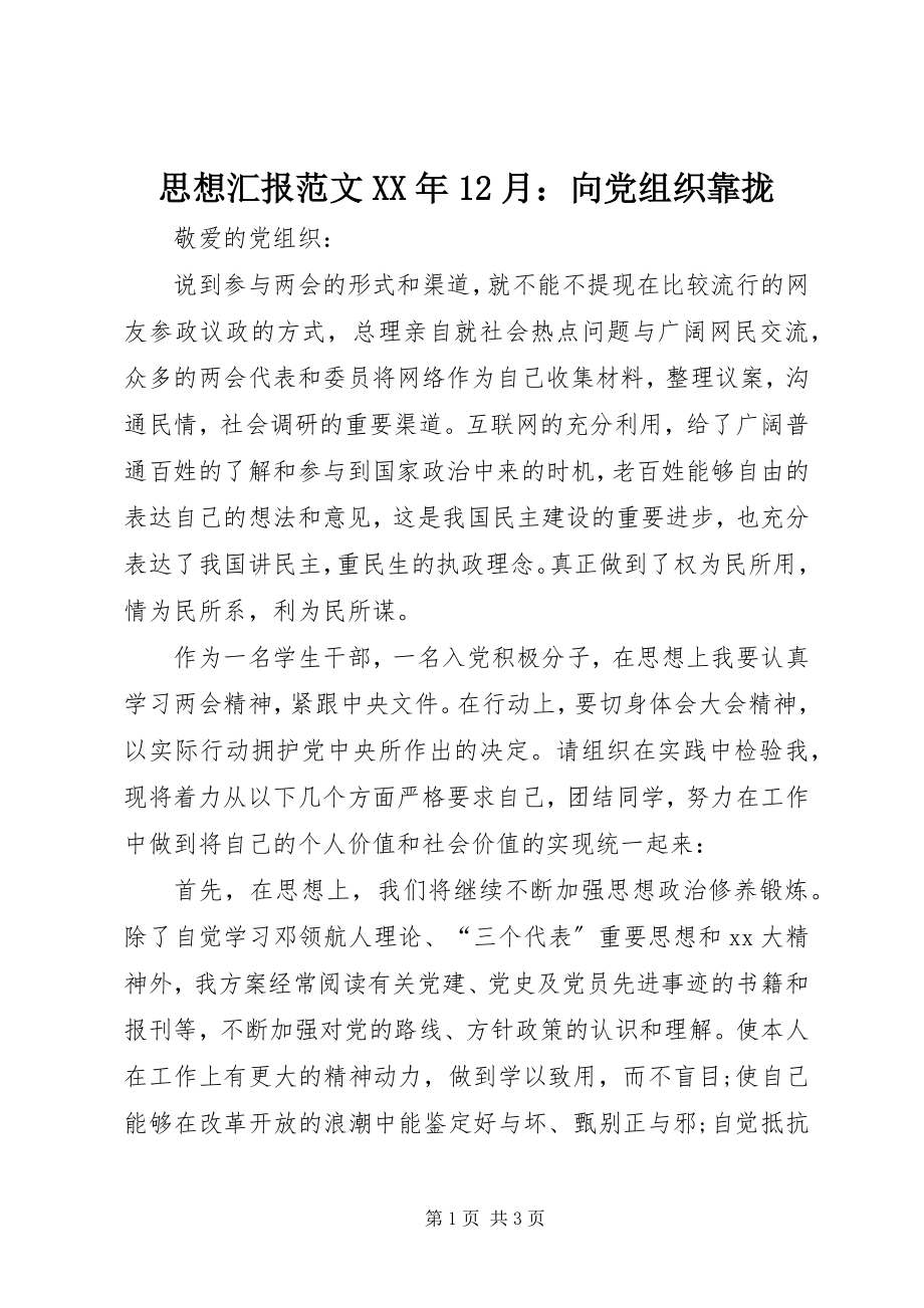 2023年思想汇报12月向党组织靠拢.docx_第1页