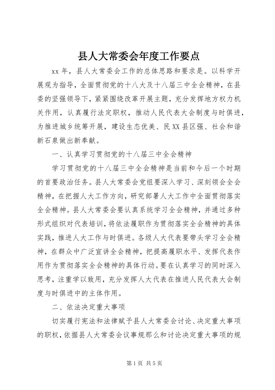 2023年县人大常委会年度工作要点.docx_第1页