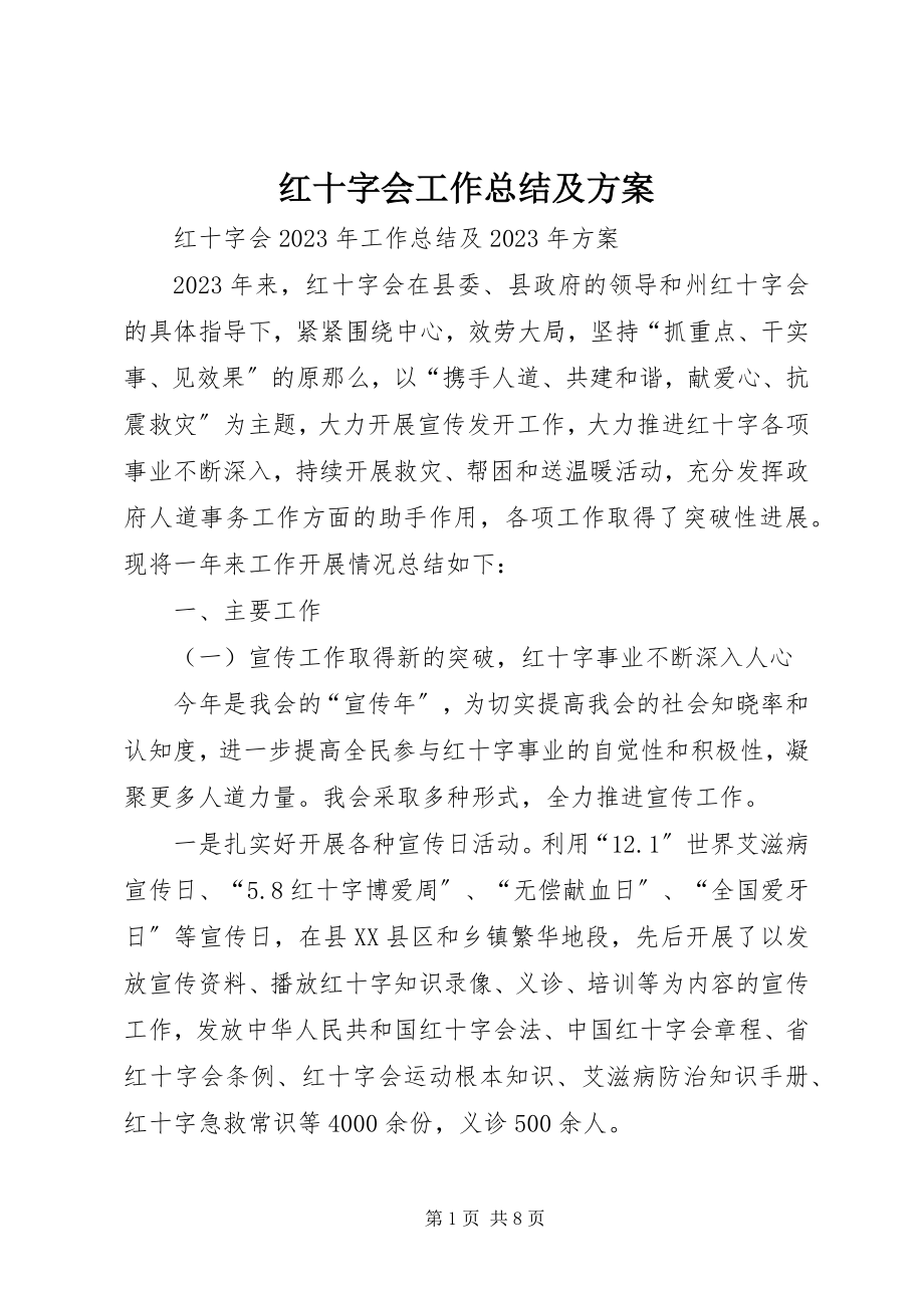 2023年红十字会工作总结及计划.docx_第1页