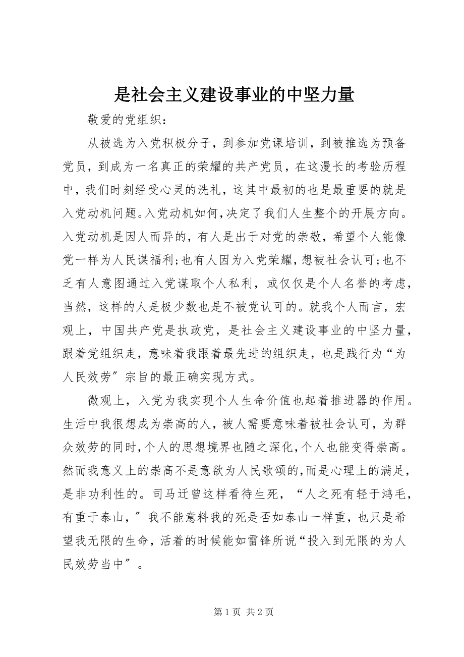 2023年是社会主义建设事业的中坚力量.docx_第1页