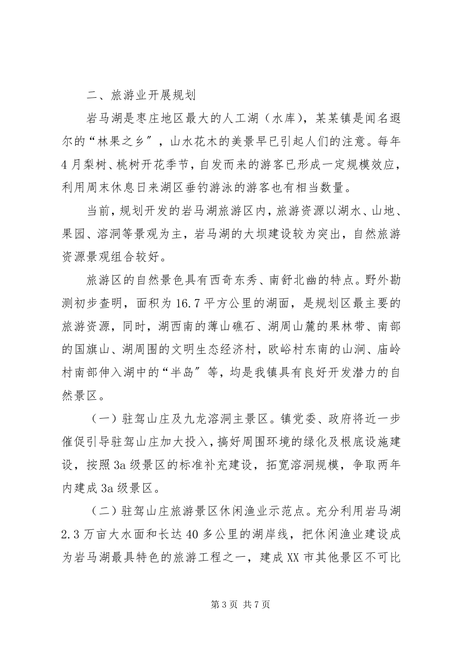 2023年镇旅游开发现状及发展规划.docx_第3页