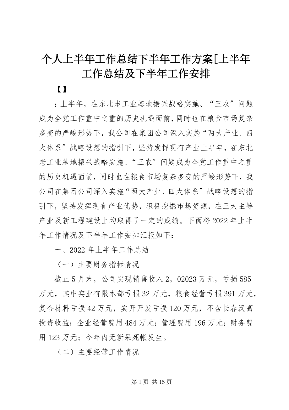 2023年个人上半年工作总结下半年工作计划上半年工作总结及下半年工作安排.docx_第1页