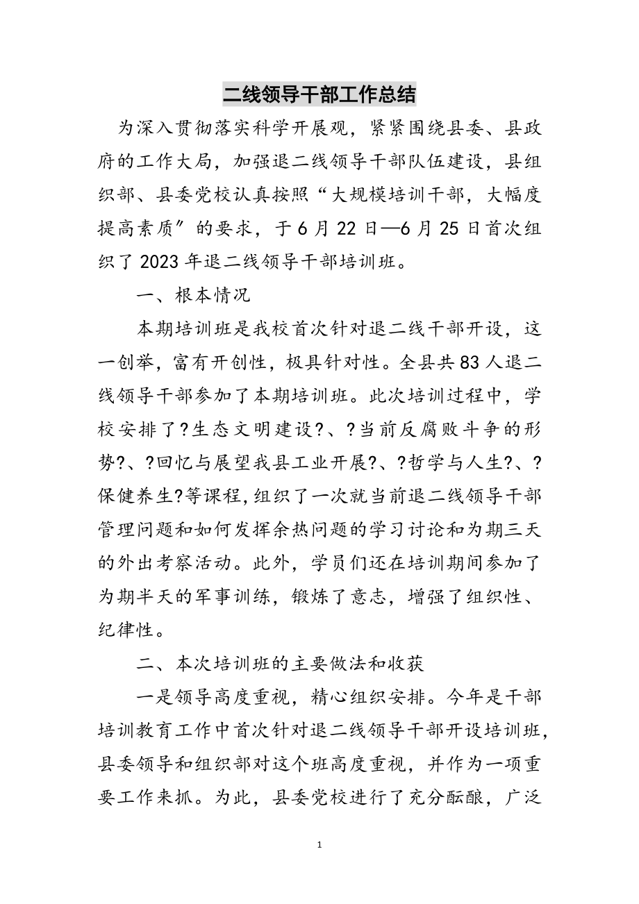 2023年二线领导干部工作总结范文.doc_第1页