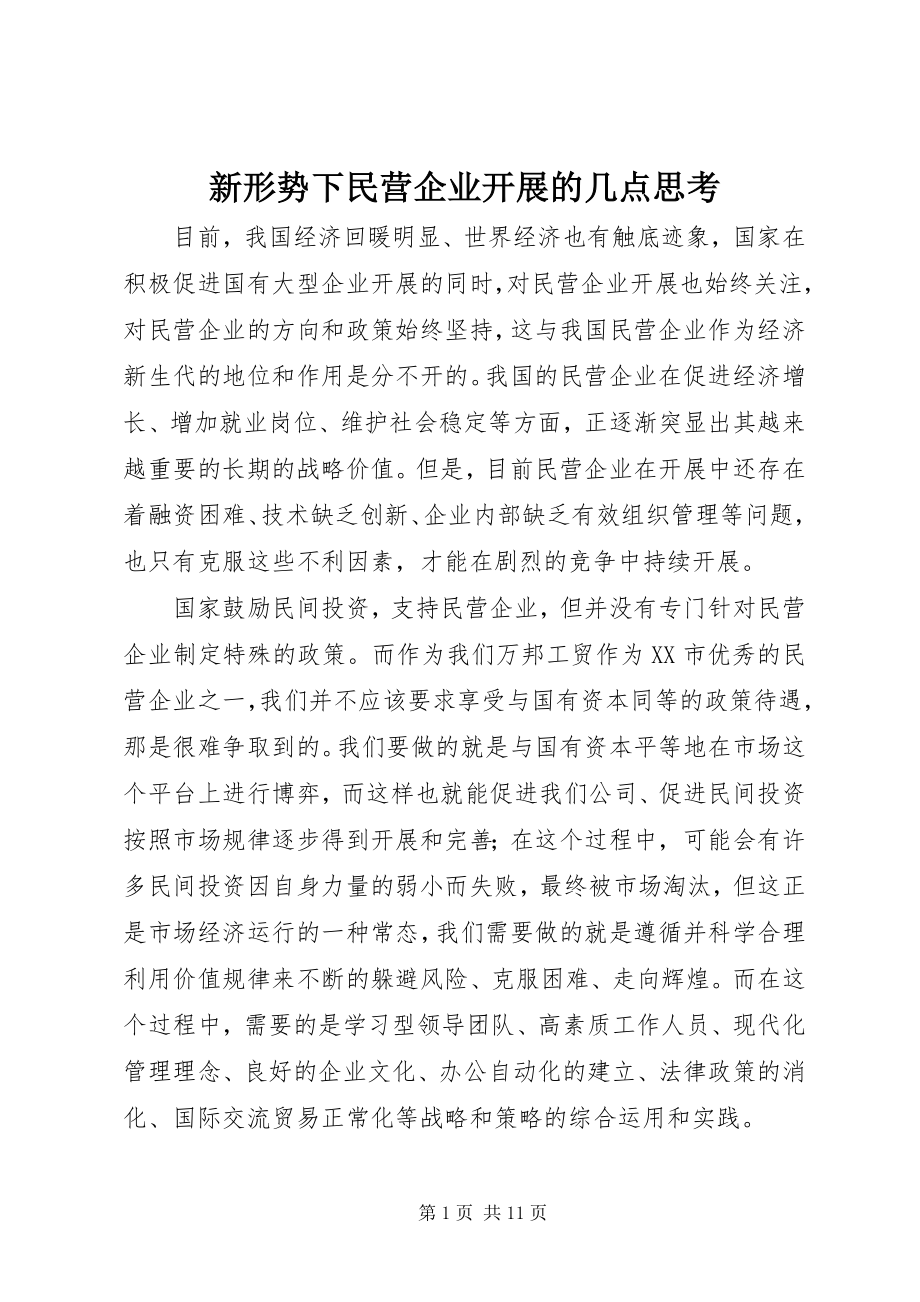 2023年新形势下民营企业发展的几点思考.docx_第1页