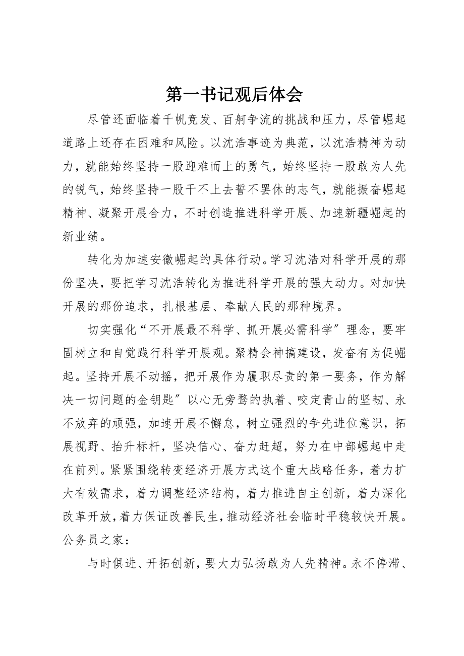 2023年第一书记观后体会新编.docx_第1页