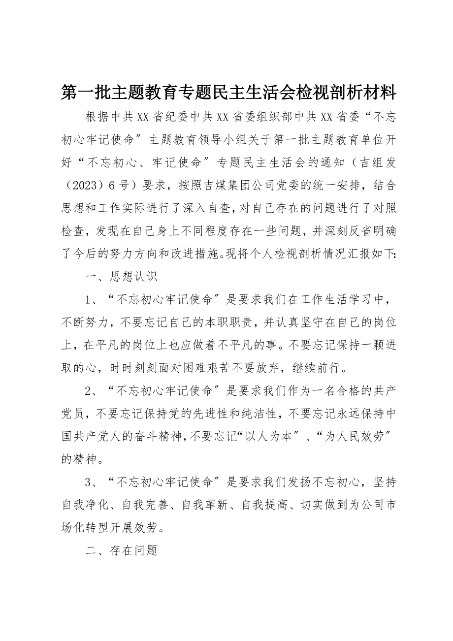 2023年第一批主题教育专题民主生活会检视剖析材料新编.docx_第1页