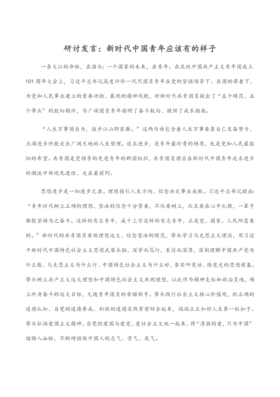 研讨发言：新时代中国青年应该有的样子.docx_第1页