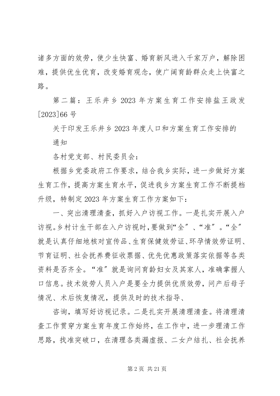 2023年王乐井乡计划生育“三结合”工作安排.docx_第2页