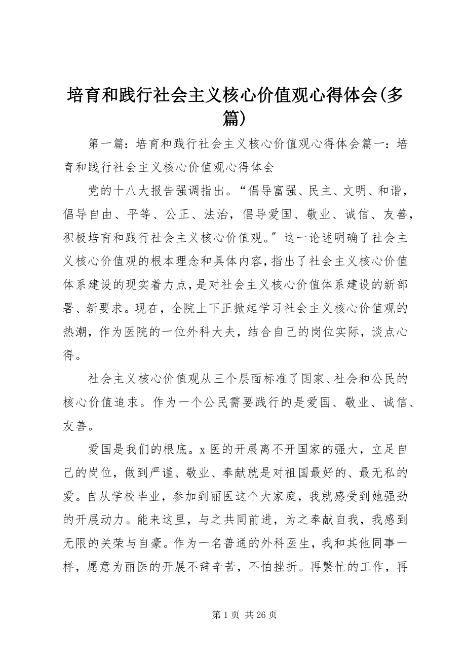 2023年培育和践行社会主义核心价值观心得体会多篇.docx_第1页