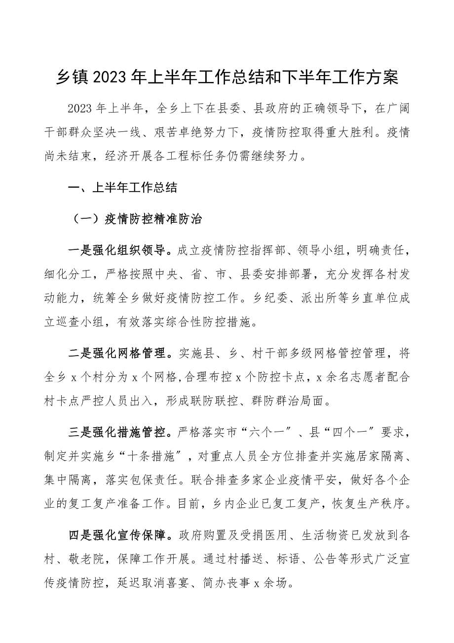 乡镇2023年上半年工作总结和下半年工作计划.docx_第1页