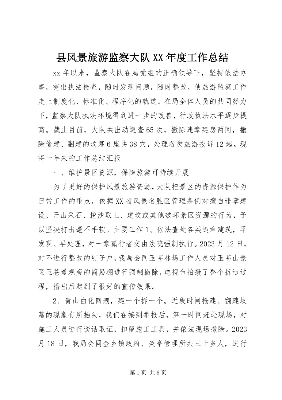 2023年县风景旅游监察大队度工作总结.docx_第1页