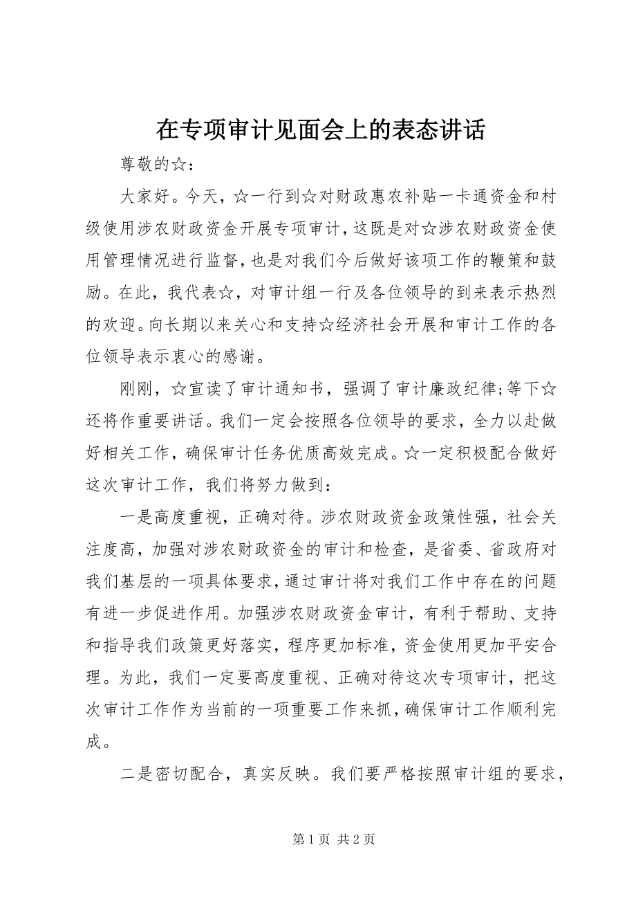 2023年在专项审计见面会上的表态致辞.docx_第1页