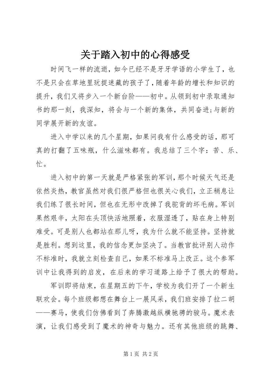 2023年踏入初中的心得感受.docx_第1页