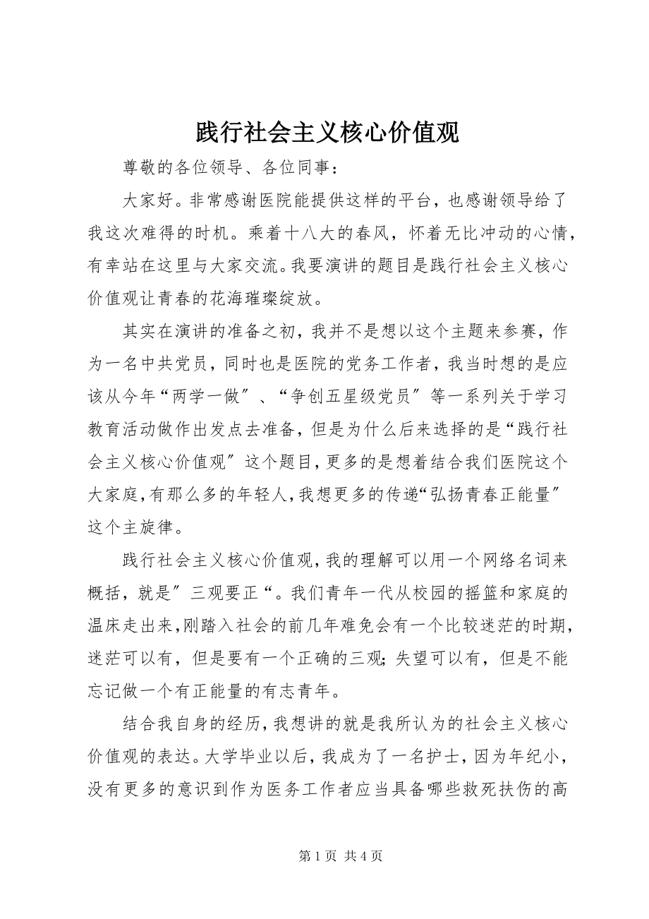 2023年践行社会主义核心价值观.docx_第1页