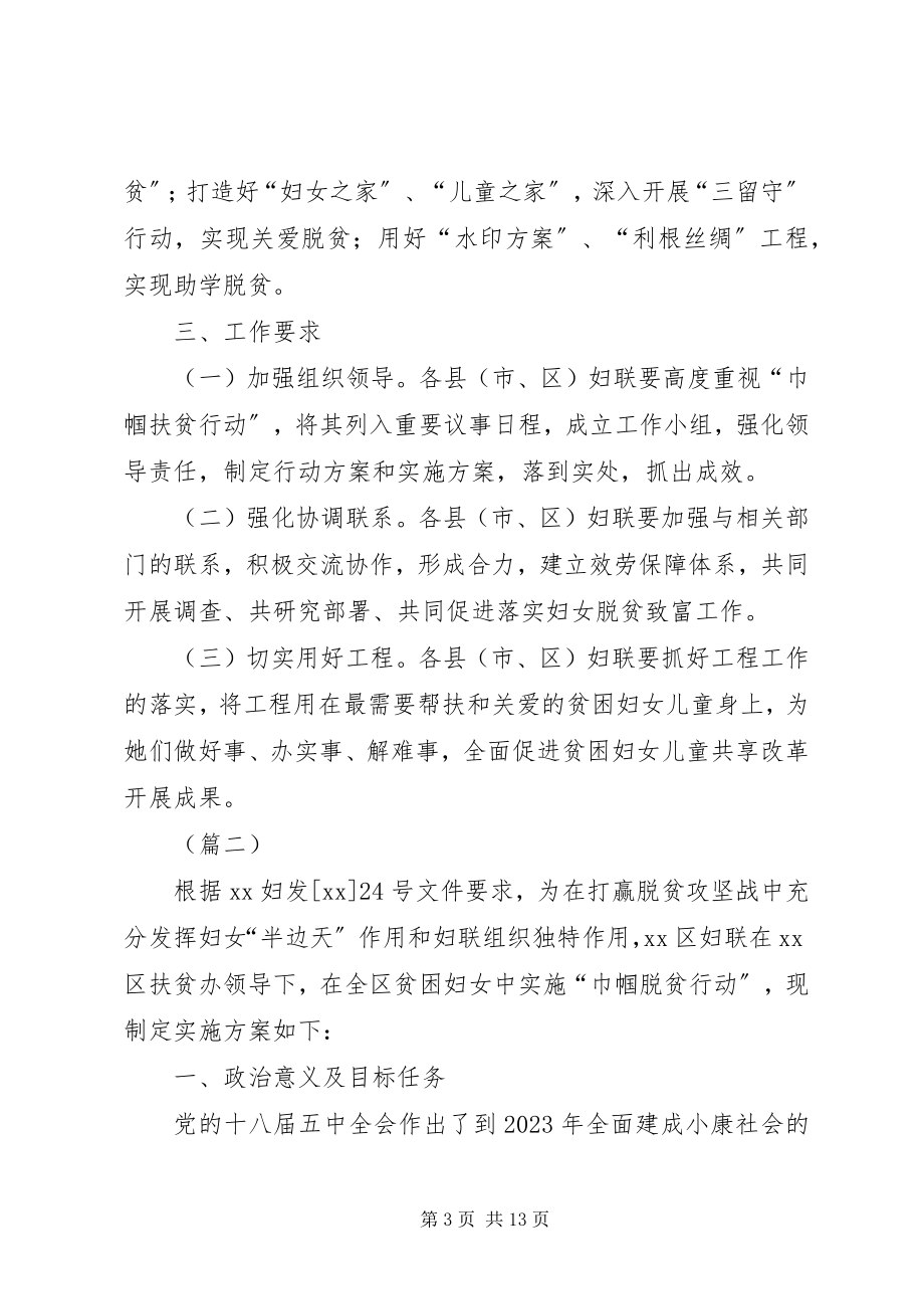 2023年妇联巾帼扶贫行动方案.docx_第3页