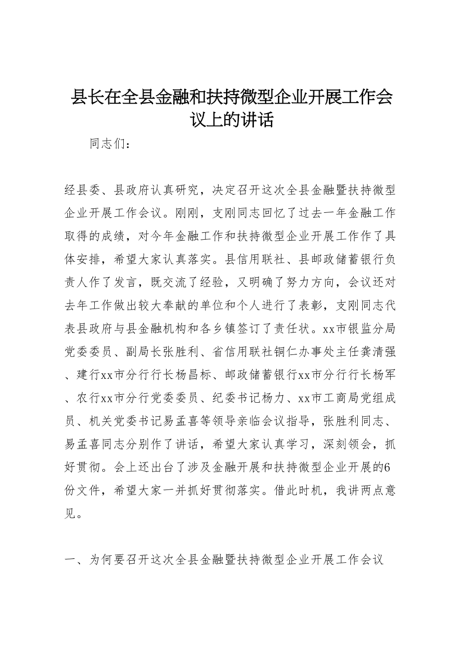 2023年县长在全县金融和扶持微型企业发展工作会议上的致辞.doc_第1页