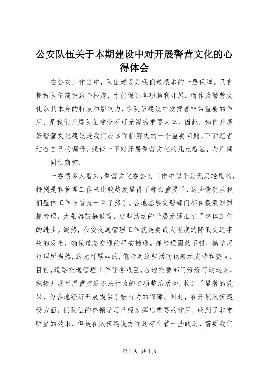 2023年公安队伍本期建设中对开展警营文化的心得体会.docx_第1页