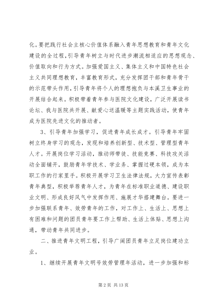 2023年共青团度工作计划.docx_第2页