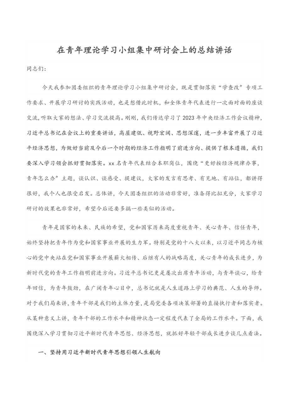 在青年理论学习小组集中研讨会上的总结讲话.docx_第1页