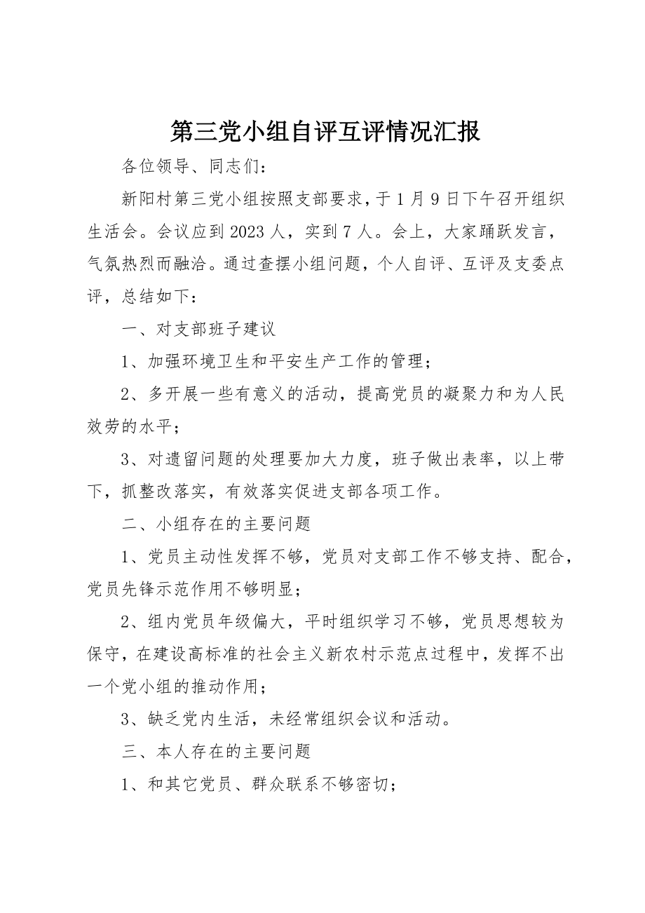 2023年第三党小组自评互评情况汇报新编.docx_第1页