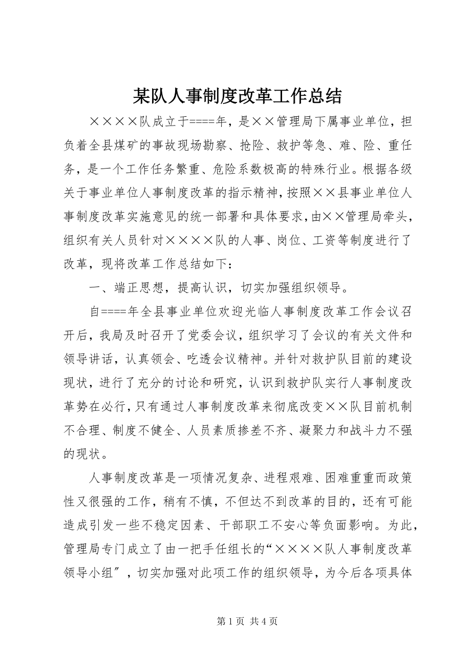 2023年某队人事制度改革工作总结.docx_第1页