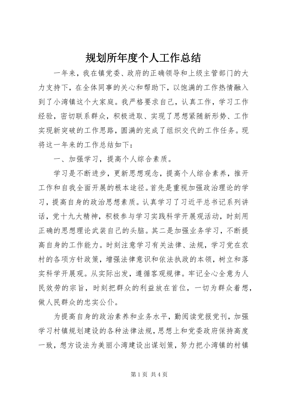 2023年规划所度个人工作总结.docx_第1页