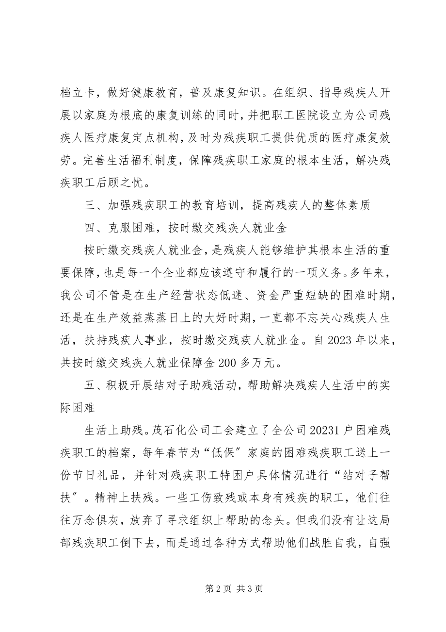 2023年企业公司残疾人工作总结总结.docx_第2页