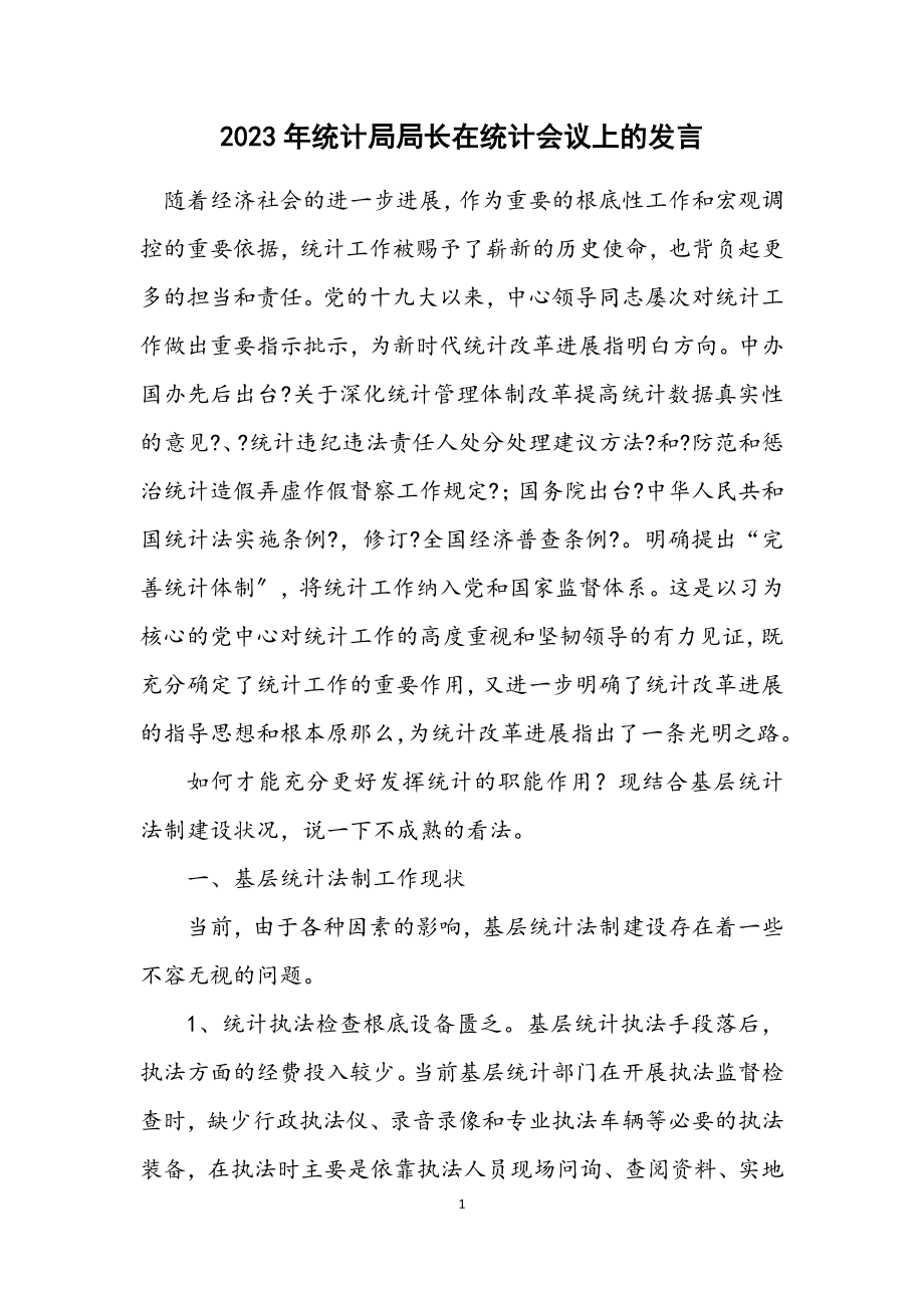 2023年统计局局长在统计会议上的发言.docx_第1页