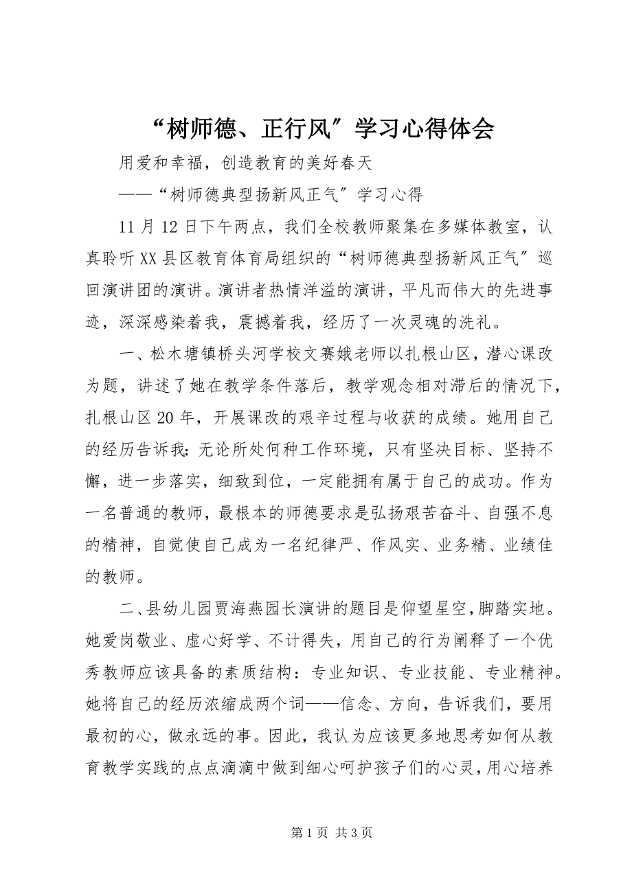 2023年树师德正行风学习心得体会2.docx_第1页