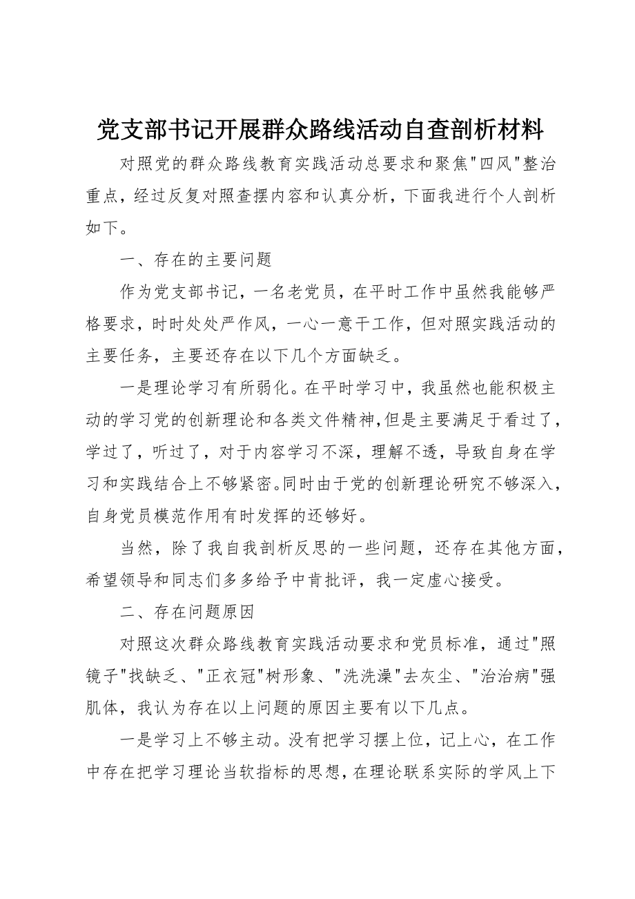 2023年党支部书记开展群众路线活动自查剖析材料.docx_第1页