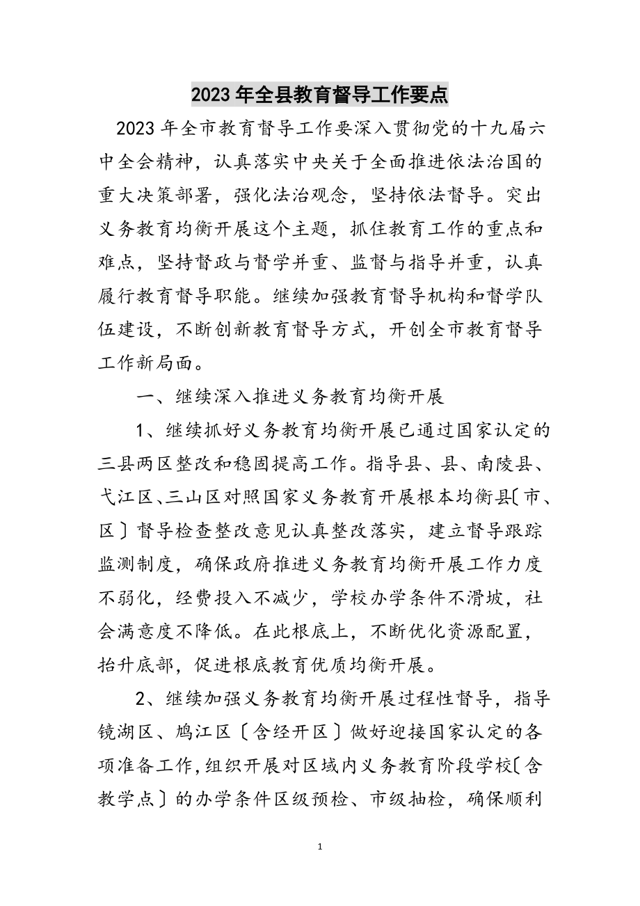 2023年年全县教育督导工作要点范文.doc_第1页