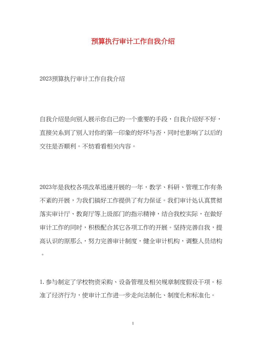 2023年预算执行审计工作自我介绍2.docx_第1页