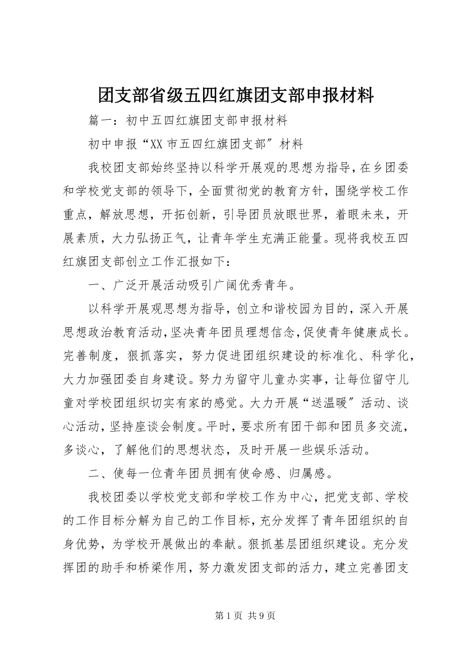 2023年团支部省级五四红旗团支部申报材料.docx_第1页