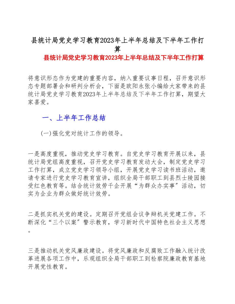 县统计局党史学习教育2023年上半年总结及下半年工作计划.doc_第1页