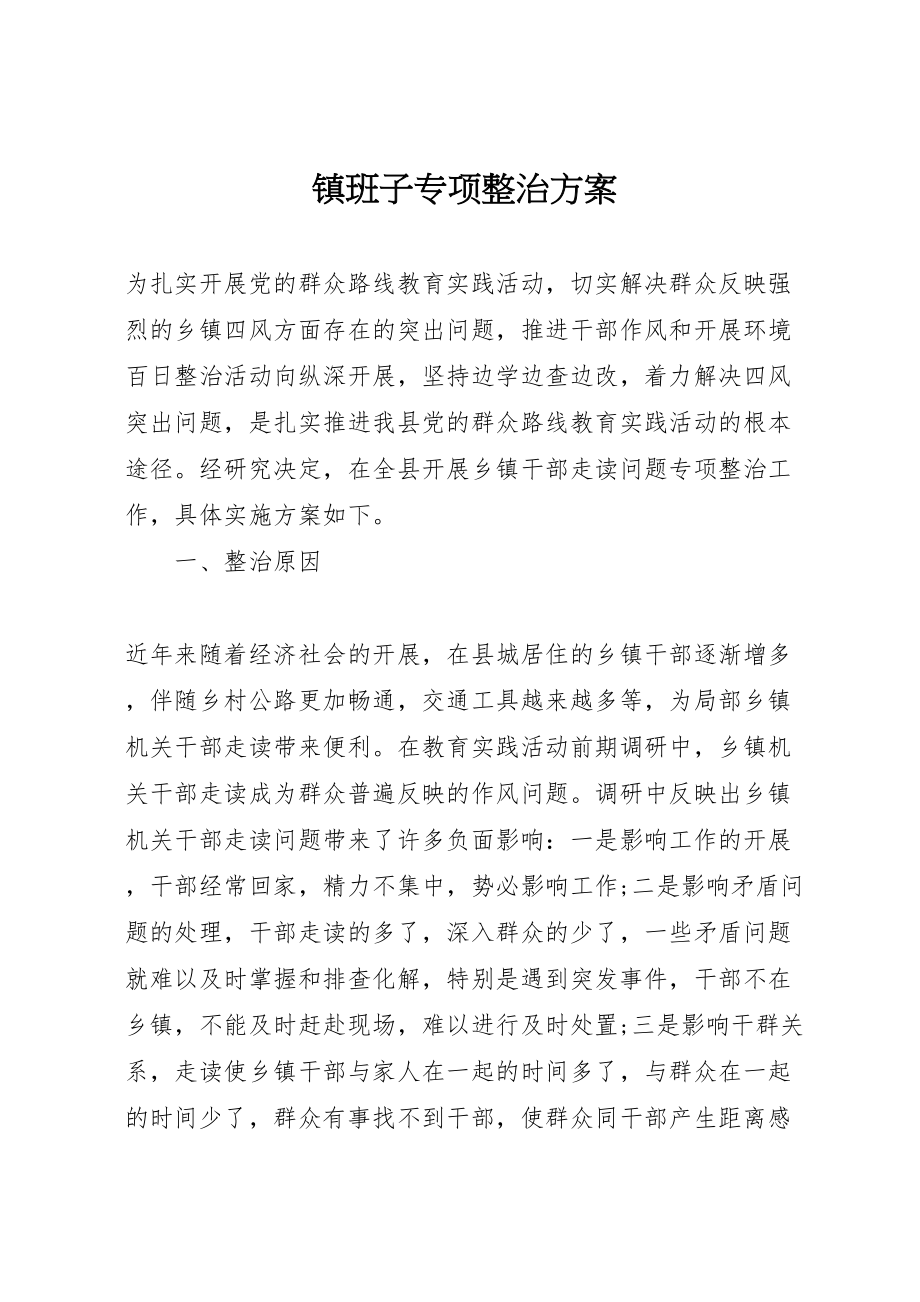 2023年镇班子专项整治方案.doc_第1页