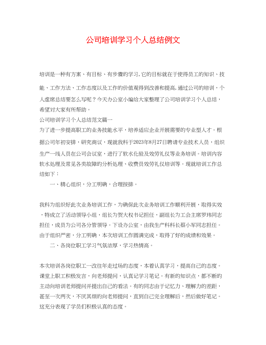 2023年公司培训学习个人总结例文.docx_第1页