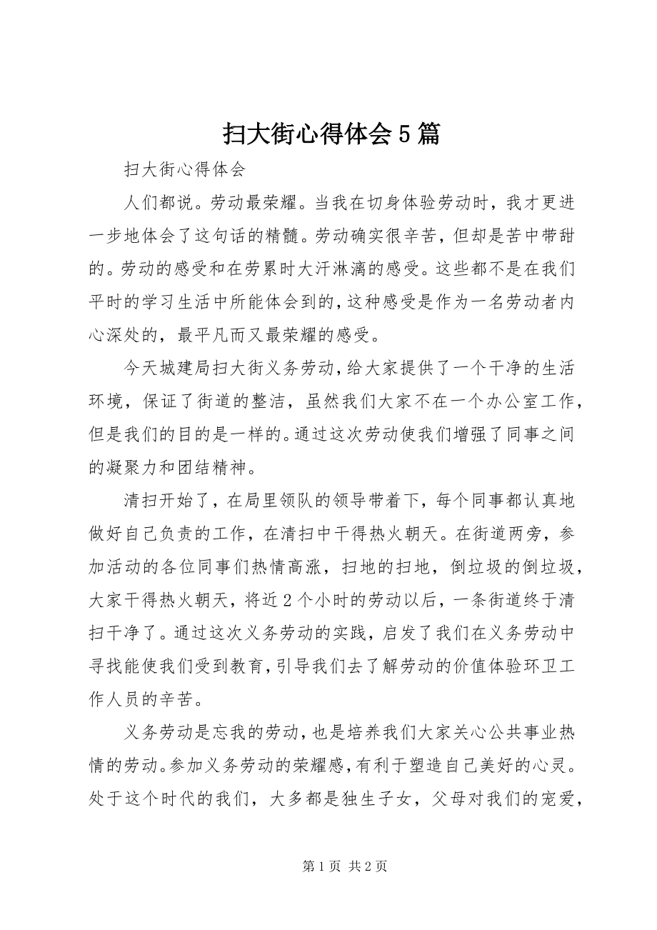 2023年扫大街心得体会5篇.docx_第1页