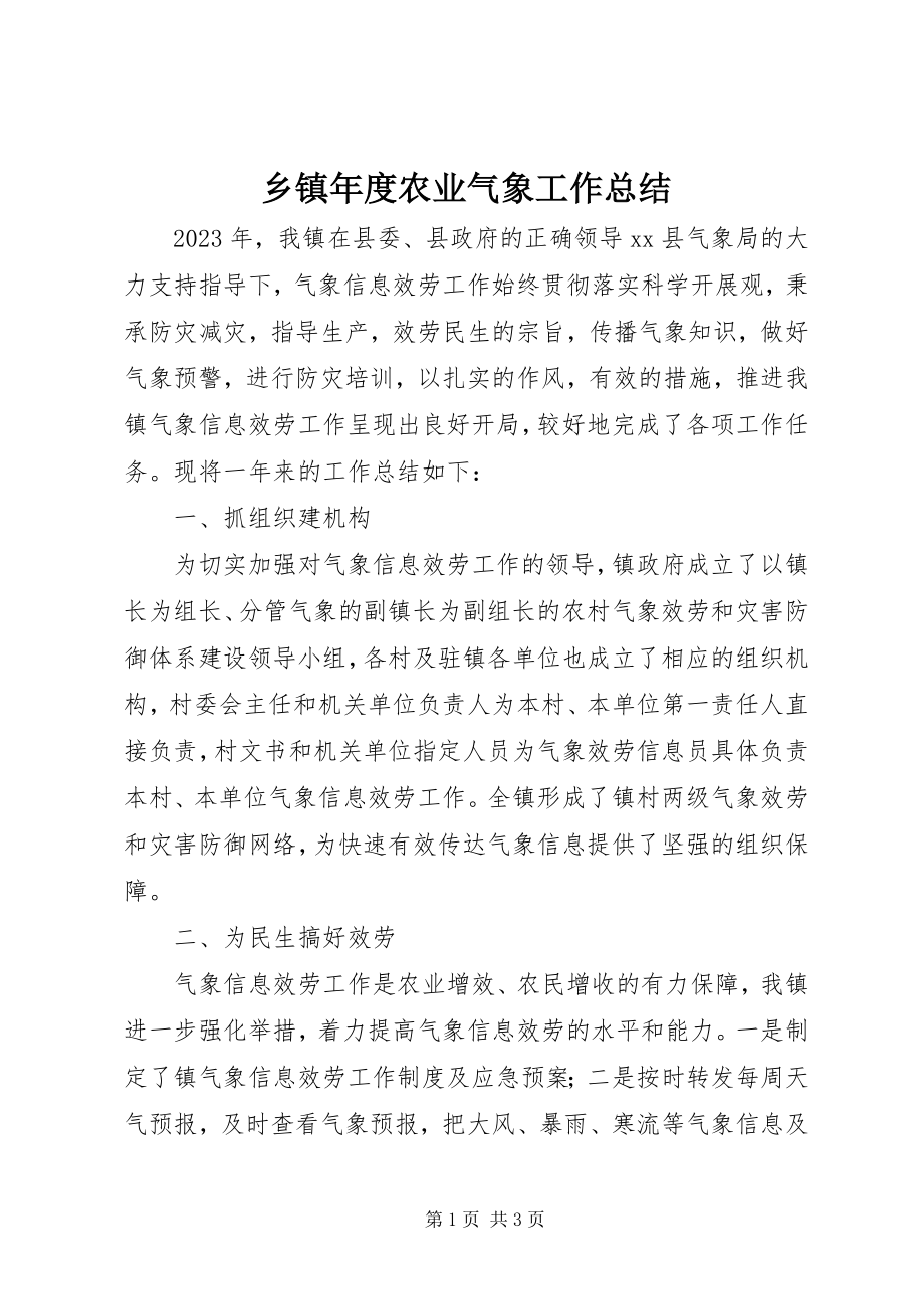 2023年乡镇年度农业气象工作总结.docx_第1页