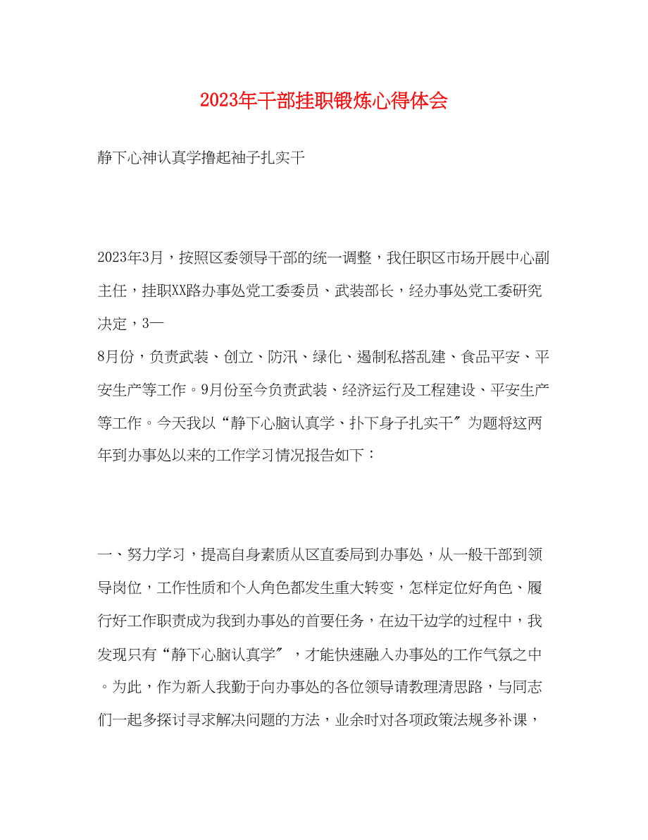 2023年干部挂职锻炼心得体会.docx_第1页