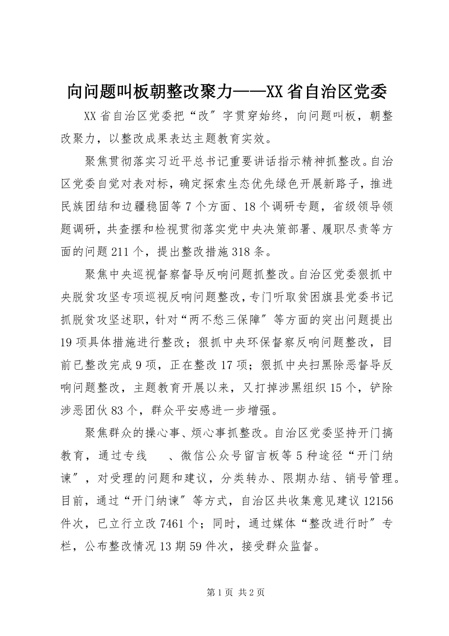 2023年向问题叫板朝整改聚力XX省自治区党委.docx_第1页