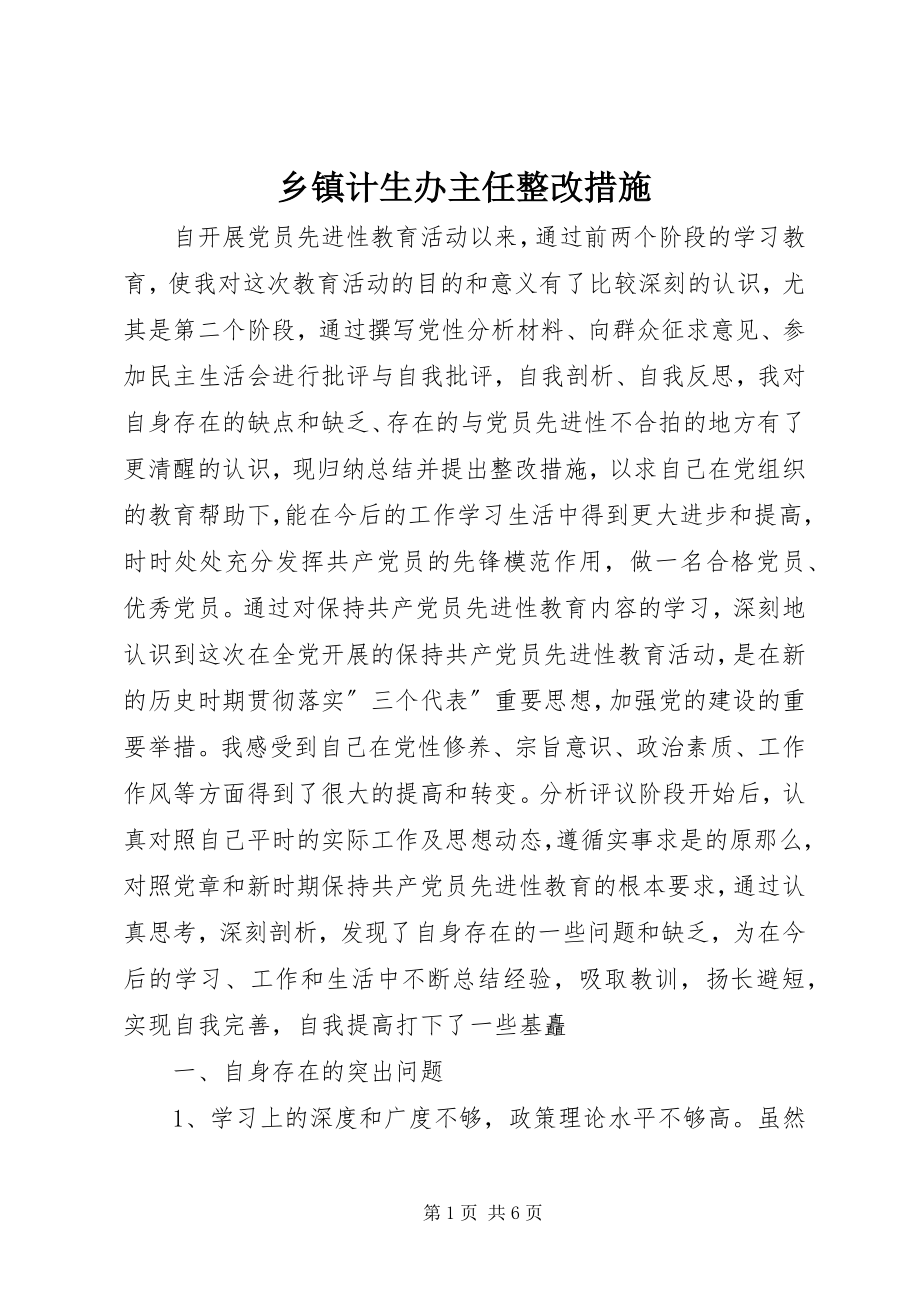 2023年乡镇计生办主任整改措施.docx_第1页